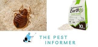 using diatomaceous earth for bed bugs