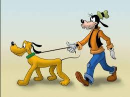Things to get your mind of things and have a good laugh to put you in a. Is Goofy A Dog Or A Cow Disney Clears The Debate