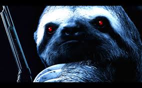 10 sloth hd wallpapers and backgrounds