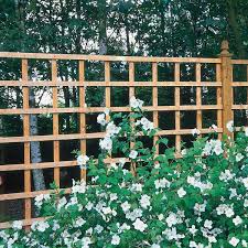 Heavy Duty Trellis 183cm X 183cm