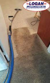 carpet cleaning kissimmee fl logan