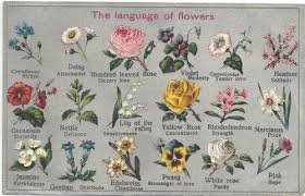 Victorian Flower Language Cryptological Communication And