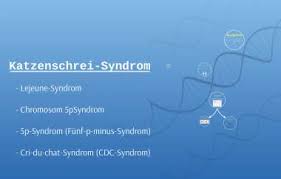 За эту страницу отвечает centers for disease control and prevention (cdc). Katzenschrei Syndrom By Lea Emmel