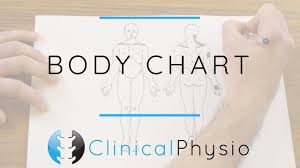 Completing The Body Chart Clinical Physio Premium