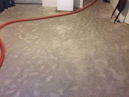 carpet cleaning and expert stains