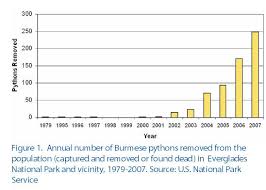 18 Inquisitive Burmese Python Size Chart
