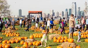 What is pumpkin patch for halloween. Governors Island Waterfront Pumpkin Patch Is Back For The Halloween Season Secret Nyc
