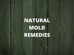 mold reation