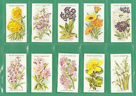 Flowers are beautiful, aren't they? Flowers Set Of 50 Wills Old English Garden Flowers Cards Reprints Ebay