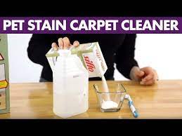 pet stain carpet cleaner day 3 31