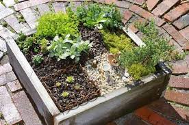 Mini Garden Backyard Projects