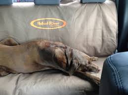 Rear Seat Cover For Dogs Ford F150
