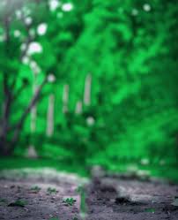 blur cb background green color 4k