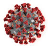 Story image for coronavirus from The New York Times