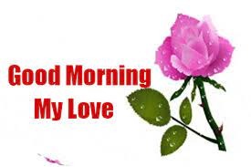 good morning my love rose greeting gif