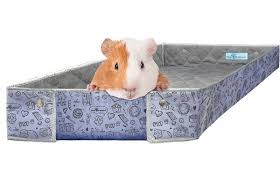 10 Best Bedding Options For Guinea Pigs