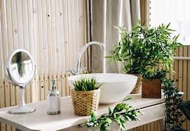 5 piante da appartamento per il bagno, ovvero piante grasse, kalanchoe, aloe vera, filodendro, sansevieria, felce e ficus sono le più adatte. Quali Sono Le Piante Per Il Bagno Migliori E Come Usarle