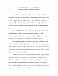 career essay examples sample professional goals essay career goal 004 research paper career essay examples school reports in class of