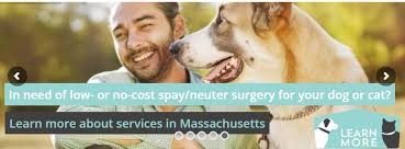 Starelief does not donate to anyone breeding, selling or flipping animals and it reserves the right to refuse. Voucher Programs Free Spay Neuter For Ma Residents Who Qualify Sterling Animal Shelter Clinic