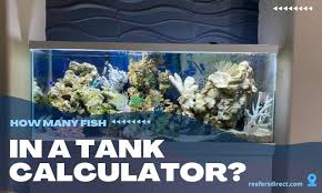 how many fish in a tank calculator