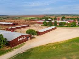 west texas 6666 ranch featured in