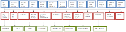 File Organization Structure Of Boston Scientific Jpg