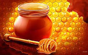 Honey A Boon From Nature gambar png