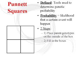 A punnett square is a diagram that can help visualize mendelian inheritance patterns. What Is Genetics Genetics Study Of Heredity Heredity