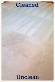 reno carpet cleaner 3 areas 140 5