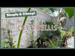Diy Garden Trellis Inexpensive Easy