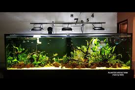 Kami menyediakan aquarium, filter aquarium, peralatan kolam. 15 Best Fish Tanks Shops In Singapore Best In Singapore
