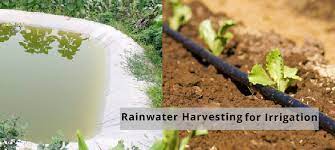rainwater harvesting for irrigation