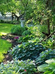 Back Yard Hostas Shade Garden Design