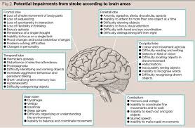 Stroke 1 Definition Burden Risk Factors And Diagnosis