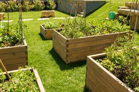 A Vegetable Garden Need To Be Level