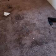 one stop carpet upholstery cleaning