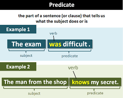 predicate explanation and exles