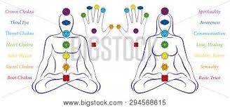 Body Hand Chakras Man Vector Photo Free Trial Bigstock