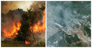 Disastrous Amazon rainforest fire can be seen from space