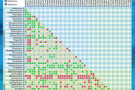 Freshwater Brackish Fish Compatibility Chart Visual Ly