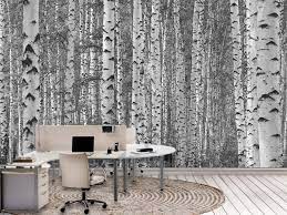 Black And White Birch Tree Wallpaper