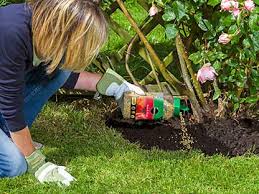 Shrub Continuous Release Plant Food