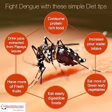 Dengue And Chikungunya Everything You Need To Know To Fight