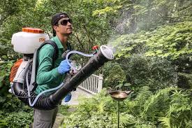 Backyard Mosquito Spraying Booms But