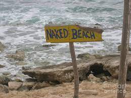 Naked Beach On Cozumel Island Photograph by Emmy Vickers - Pixels