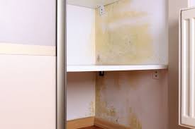 here s how to keep your wardrobe mold