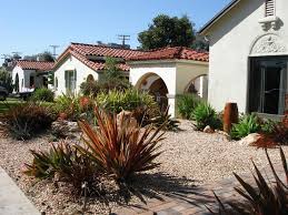 Drought Tolerant Front Yard American