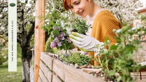 Vertical Vegetable Gardening A Growing