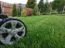 Totex съвети за градината цени за озеленяване, затревяване и полагане на тревни чимове. Vnshno Ozelenyavane