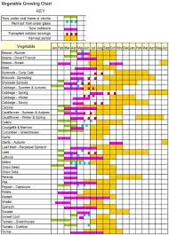Vegetable Vitamin Chart Vegetable Harvest Chart